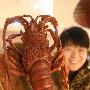 第三届田黄石寿山石雕名作展在京举行（2）