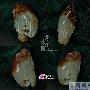玉器佩饰：精美挂件欣赏（36）