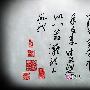 富御翡翠 惊艳之美(156)