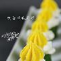 鸡蛋黄瓜色拉(图)－西餐菜谱