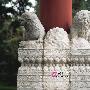 永恒之美：古董艺术鉴赏(18)
