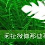 闲扯微博那些事  谈如何利用微博做营销