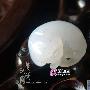 玉器佩饰：精美挂件欣赏（252）