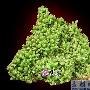鬼斧神功 精美矿物晶体石欣赏（1453）