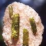 鬼斧神功 精美矿物晶体石欣赏（1460）
