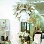 玻璃家具打造妖娆空间