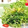 春季适当多吃八种野菜身体好