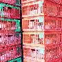 世卫疾呼警惕禽流感病毒变异
