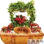 绿色饰品给居室带来自然气息
