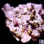 鬼斧神功 精美矿物晶体石欣赏（1490）