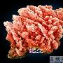 鬼斧神功 精美矿物晶体石欣赏（1658）