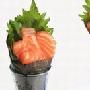 挪威三文鱼手卷(图)－西餐菜谱