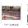 理性爱国 护航奥运 爱国也成了一门艺术