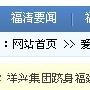 浅谈地方新闻网站的本地策略及发展特色