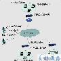 安全VPN分支机构解决方案