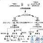 无线接入：清华同方无线公网解决方案