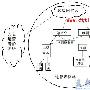 VOIP技术现状分析及未来发展的探讨