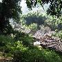 宽带城域网技术的进展综述