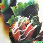 鱼肉手卷(图)－西餐菜谱