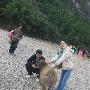专访随风的叶：八年漫漫摸索路 英语网站推广我有绝招