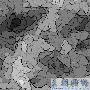 Photoshop滤镜打造个性不规则须毛边框