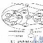 自动交换光网络分级路由技术的研究