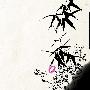故宫博物院精品壁纸（48）