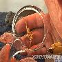 海底沉睡385年之久的纯金物件（1）