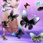 用Photoshop绘制漂亮蝴蝶效果