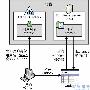 Exchange Server 2003管理指南（5）