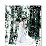 Photoshop[数字暗房]打造雪景婚纱照片