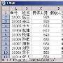 让Excel按人头打出工资条