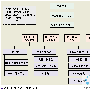 WiMAX系统及其设备研发