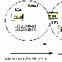 OSPF路由聚合的两种方法