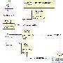 Java 与 XML 结合使用的心得体会(一)