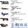Ruby入门之代码块、迭代子和过程对象