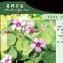 Adobe CS3网站首页设计—第2讲制作首页的内容部分