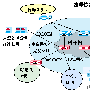 城域网高速互联简介