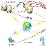 关于校园网远程接入方式三趋势简介