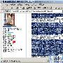 2006网页资料我全要 做个网摘的高手