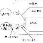 对在公用ATM网络上传送IP解决方案的要求