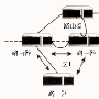 OSPF 路由更新机制