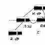 理解RFC2328OSPF，版本2