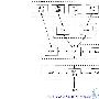 TCP/IP的分层 二