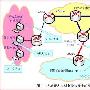 关于IPv6安全网络的架构分析