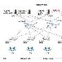 在部分设备支持STP协议的网络中实施STP