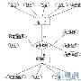 专家谈:数据库及其应用专题分析
