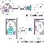 模式与J2EE