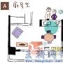 家居“生活中心”的四大类型