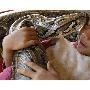 柬埔寨7歲小男孩與寵物巨蟒相擁（圖） 動物世界